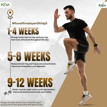 KEVA HIMALAYAN SHILAJIT (20G)